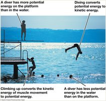Diver example illustrating potential and kinetic energy transformations