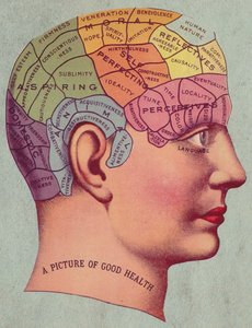 Phrenology map illustration