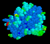 Kinase cascade and protein phosphorylation