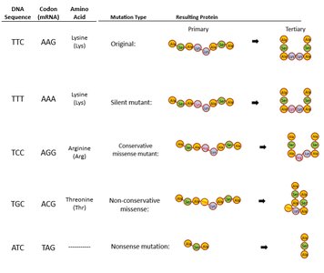 Genetic code table