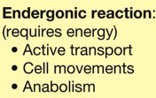 Examples of endergonic reactions