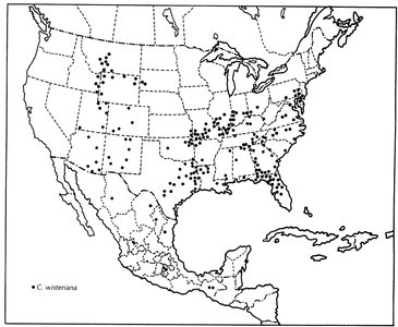 C. wisteriana distribution map