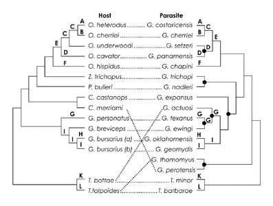 Host-parasite phylogeny comparison (Hafner & Nadler 1988)
