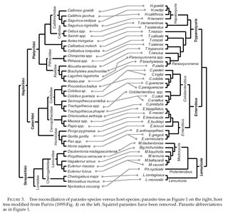 Host-parasite phylogeny comparison (tree reconciliation)