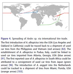 Map showing spread of Aedes mosquitoes via tire trade