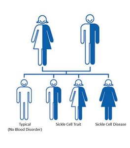 Inheritance pattern of sickle cell disease