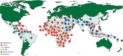 Global distribution of Plasmodium species