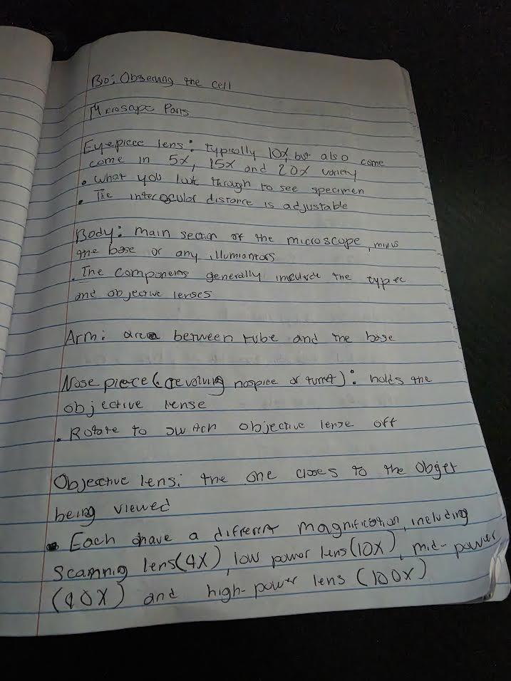Handwritten notes on microscope parts and magnification