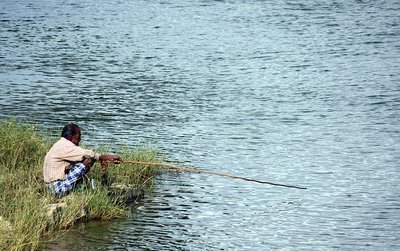 Fishing as part of ecosystem management