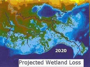 Projected wetland loss in Louisiana