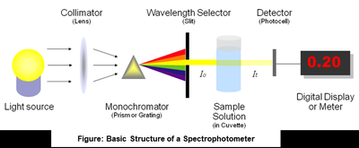 Diagram of the basic structure of a spectrophotometer