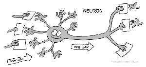 Cartoon of neuron with labeled parts