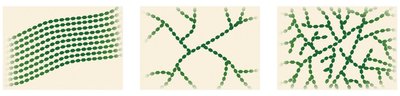 Polysaccharide structures