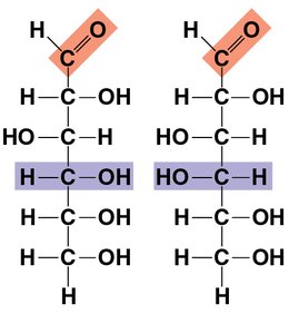 Ribose structure