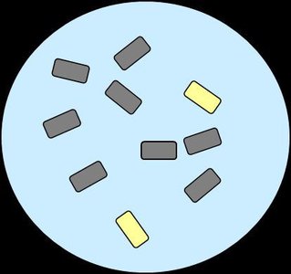 Bacterial population before antibiotic exposure
