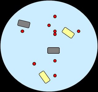 Bacterial population during antibiotic exposure