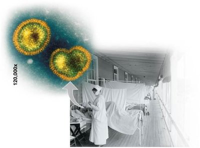 Animal virus and hospital scene