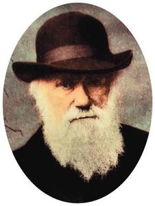 Portrait of Charles Darwin