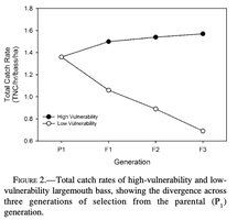 Graph showing catch rates of high- and low-vulnerability largemouth bass over generations