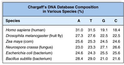 Table of Chargaff's DNA composition in various species
