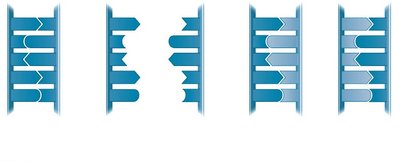 Diagram showing semiconservative replication with parental and new strands