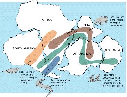 Distribution of ancient species across continents
