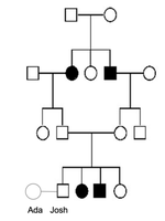 Pedigree chart for autosomal recessive disorder
