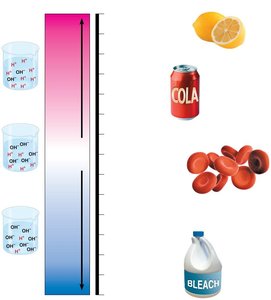 pH scale with examples of acidic and basic substances