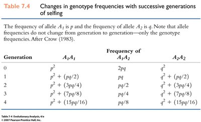 Table of genotype frequencies under selfing