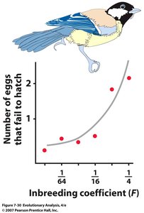 Graph showing inbreeding coefficient and number of eggs that fail to hatch