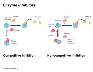 Competitive and noncompetitive inhibition diagrams