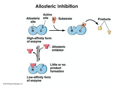 Allosteric inhibition diagram
