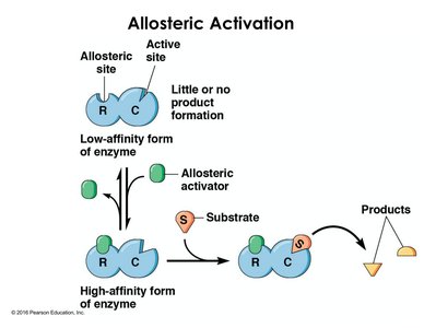 Allosteric activation diagram