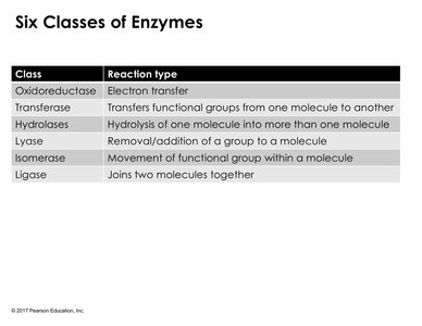 Table of six enzyme classes