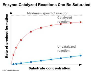 Enzyme-catalyzed reaction saturation curve