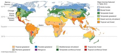 Global map of major terrestrial biomes