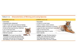 Table comparing characteristics of winning and losing species