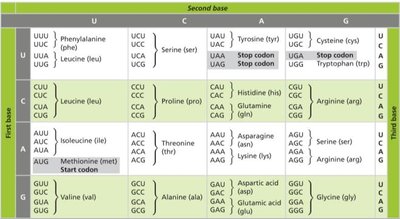 The genetic code table