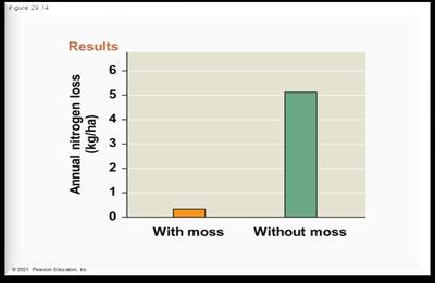 Mosses help retain nitrogen in soil