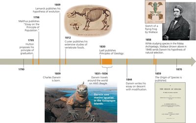 Timeline of key events and figures influencing Darwin's theory of evolution