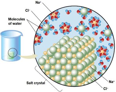 Dissolving of salt crystal in water, showing water molecules surrounding Na+ and Cl- ions