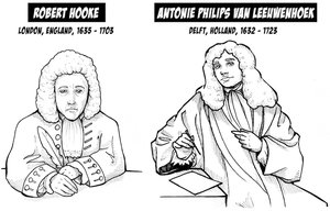 Illustrations of Robert Hooke and Antoni van Leeuwenhoek