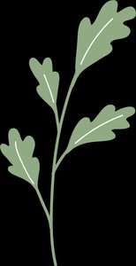 Table of proteins and their functions in DNA replication