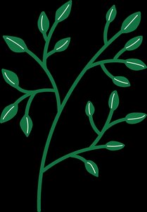 Detailed steps of DNA replication