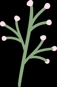 Replication fork with leading and lagging strand synthesis