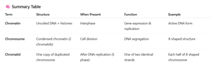 Summary table: chromatin, chromosome, chromatid
