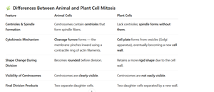 Differences between animal and plant cell mitosis