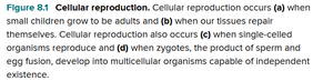 Figure 8.1 Cellular reproduction: examples of growth, repair, and reproduction