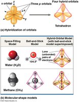 Hybridization of orbitals and molecular shape models