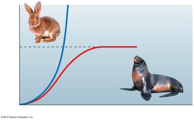 Exponential and logistic growth curves